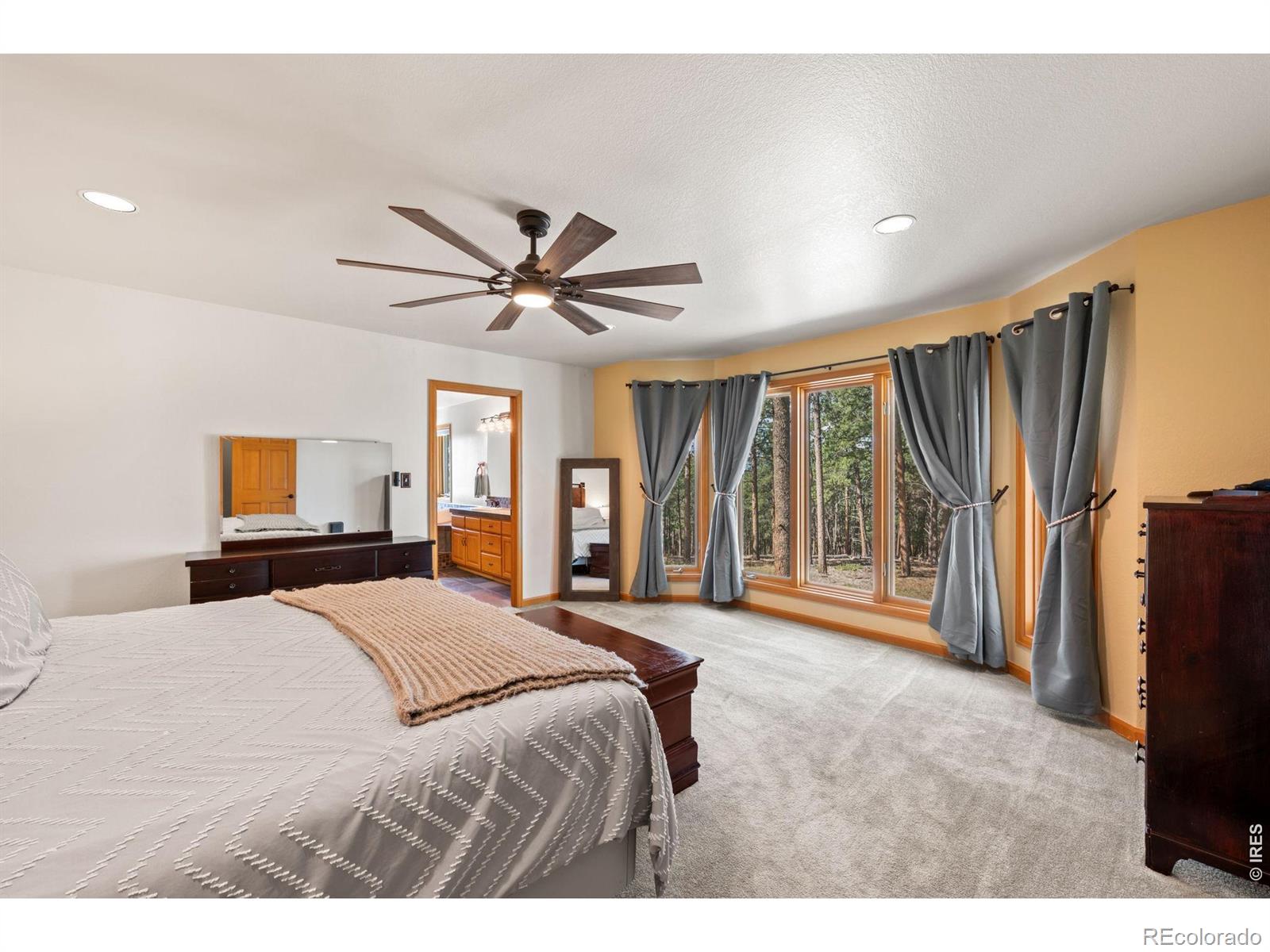 MLS Image #6 for 27291  molly drive,conifer, Colorado