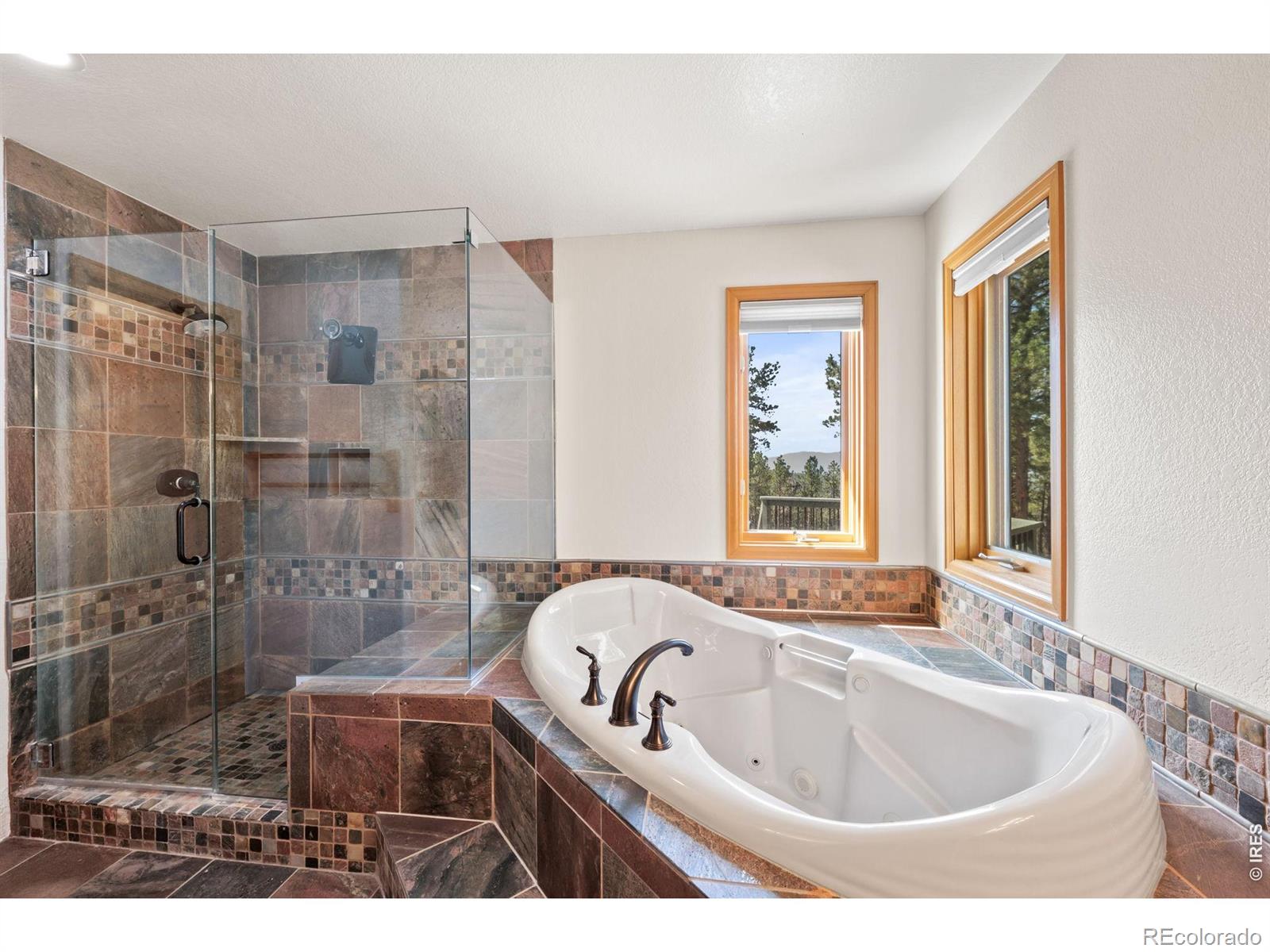 MLS Image #9 for 27291  molly drive,conifer, Colorado