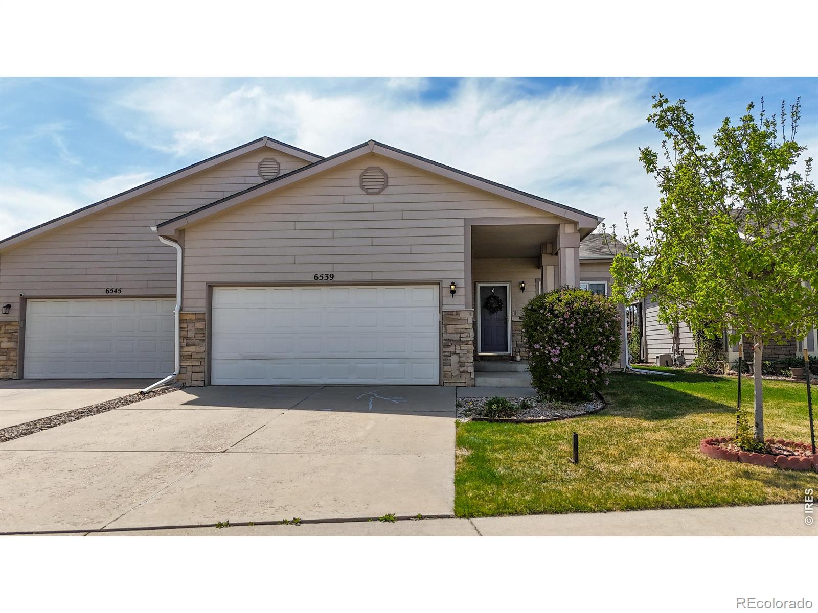 MLS Image #2 for 6539  finch court,fort collins, Colorado