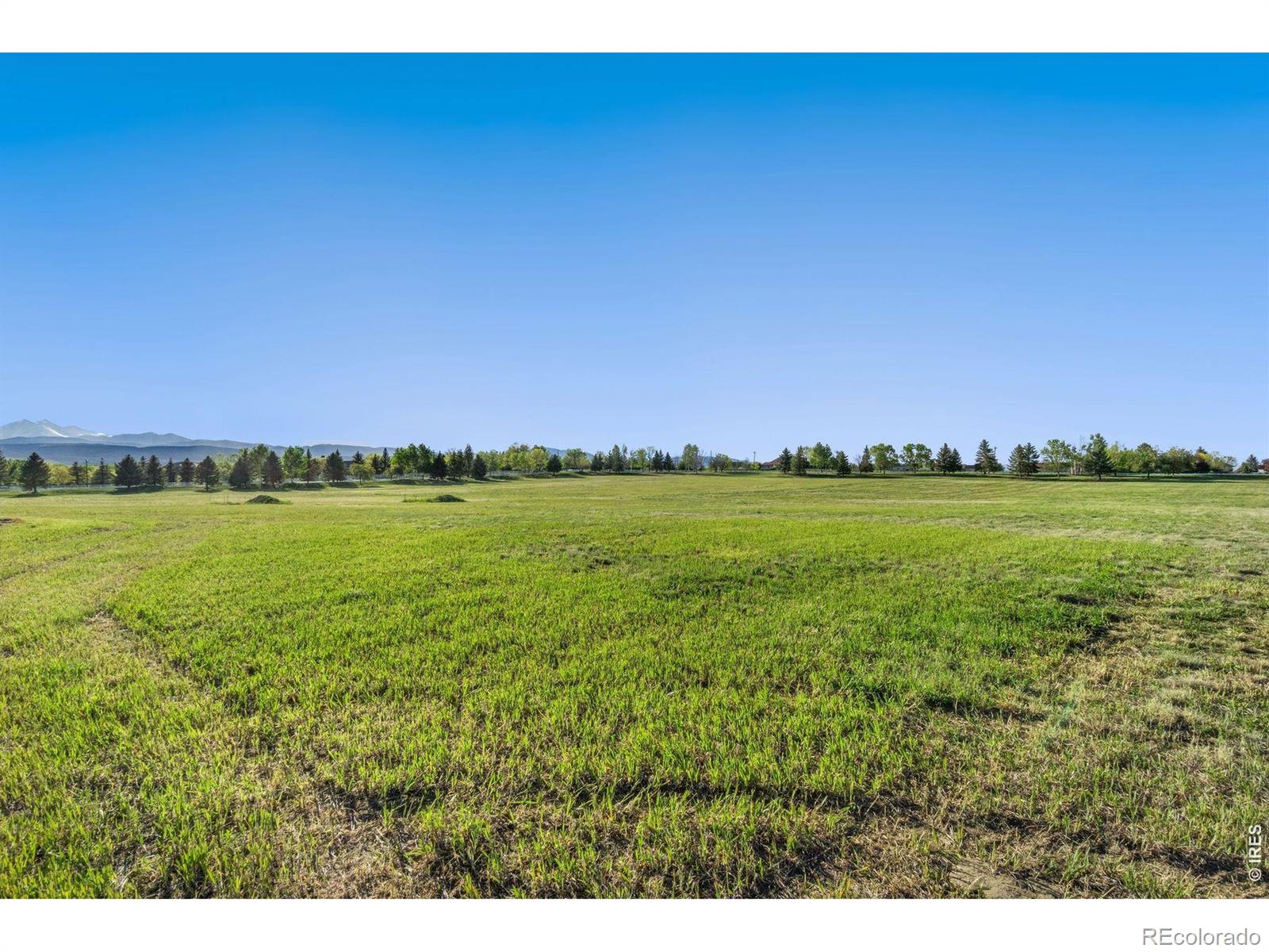 MLS Image #15 for 9715  meadow ridge lane,longmont, Colorado