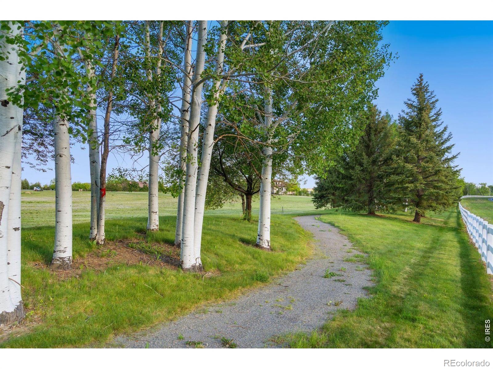 MLS Image #9 for 9715  meadow ridge lane,longmont, Colorado