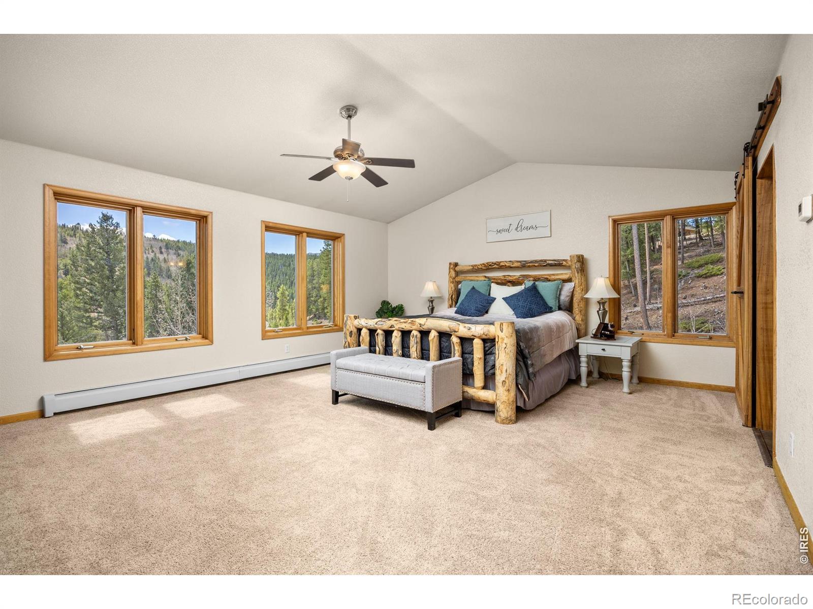 MLS Image #20 for 89  carroll court,black hawk, Colorado