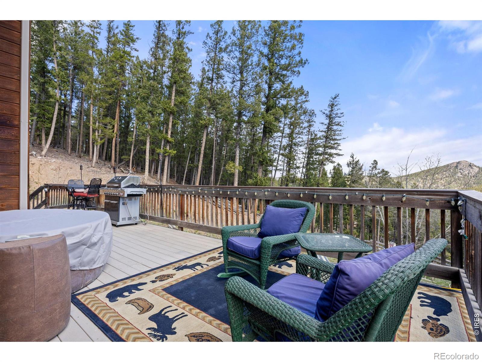 MLS Image #40 for 89  carroll court,black hawk, Colorado