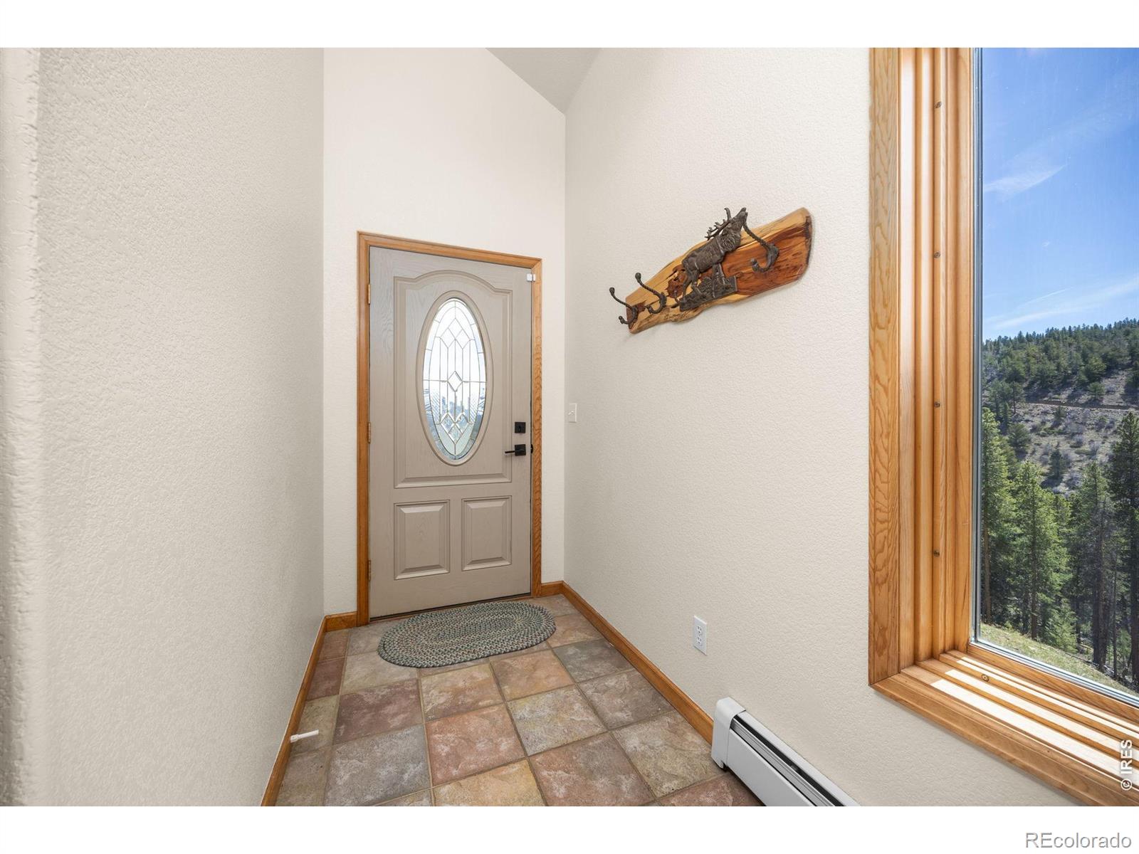MLS Image #6 for 89  carroll court,black hawk, Colorado