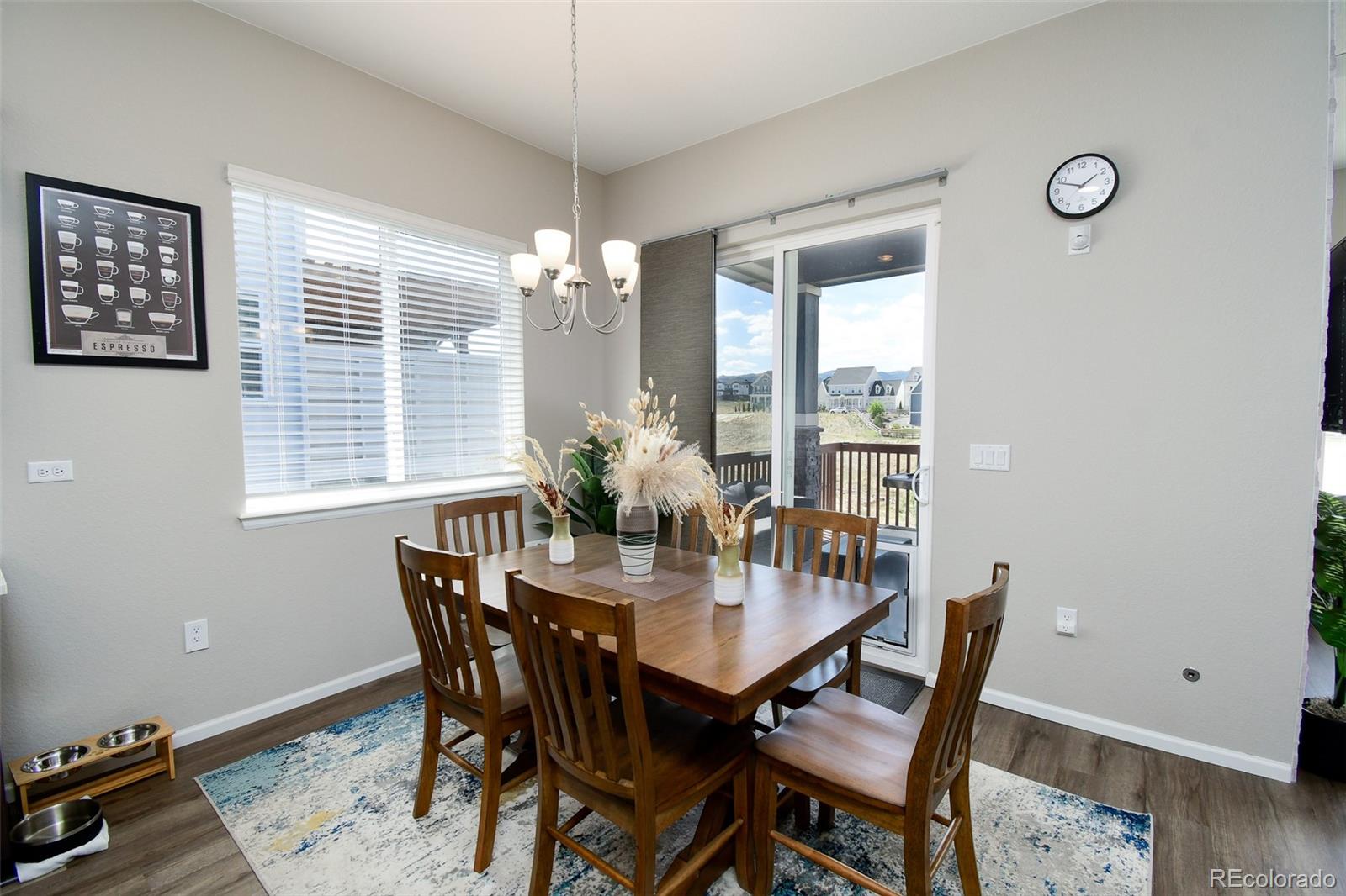 MLS Image #11 for 8937  animas river street,littleton, Colorado