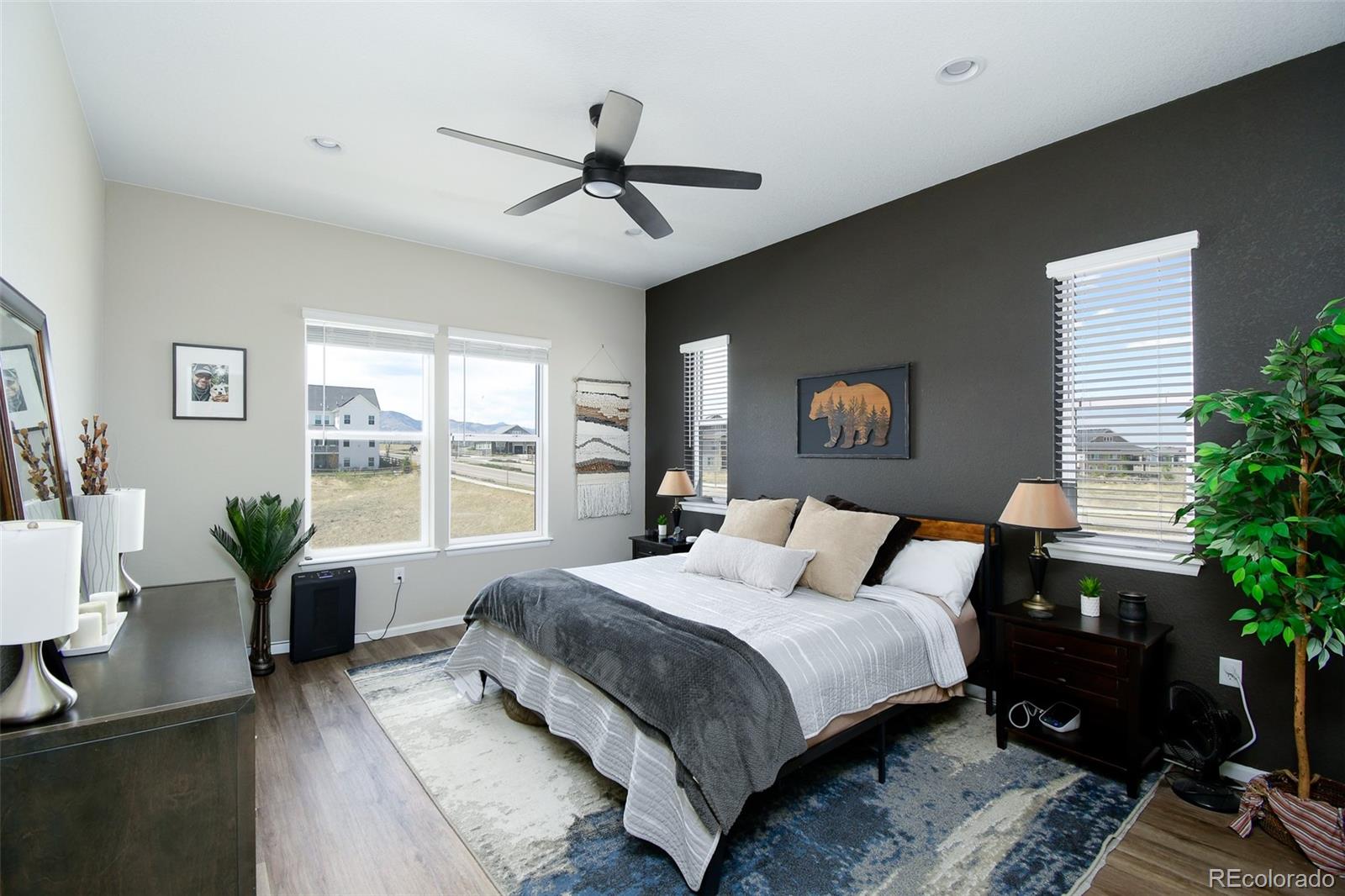 MLS Image #14 for 8937  animas river street,littleton, Colorado