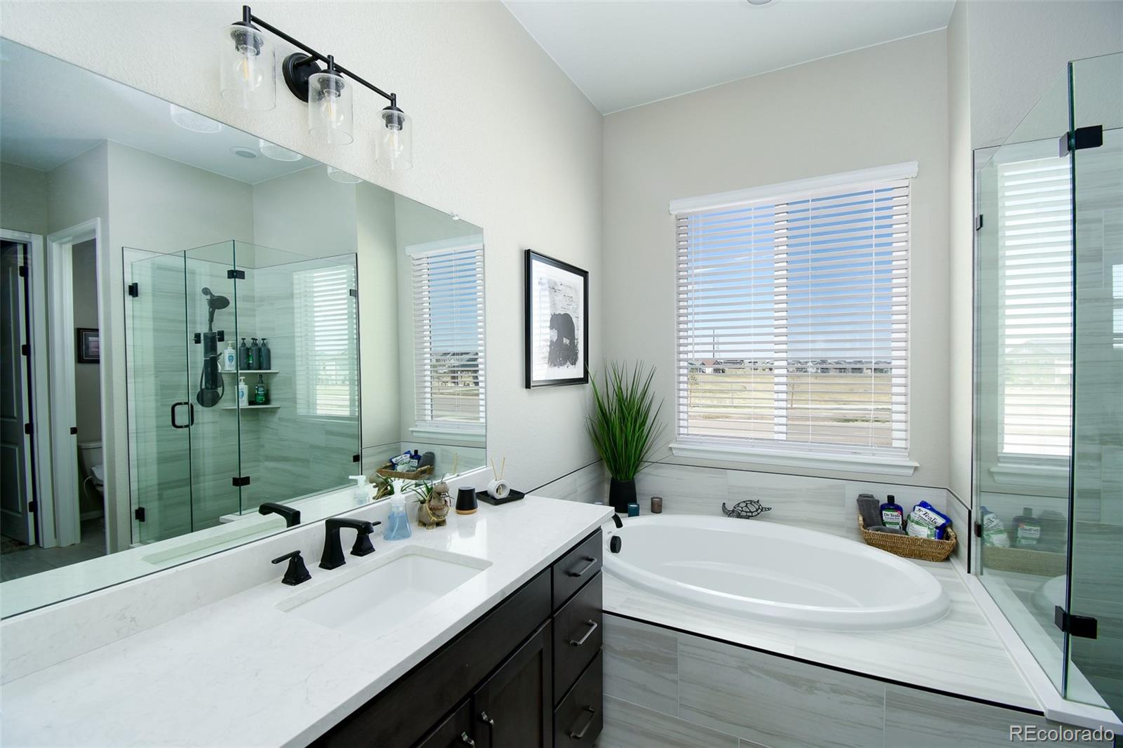 MLS Image #16 for 8937  animas river street,littleton, Colorado