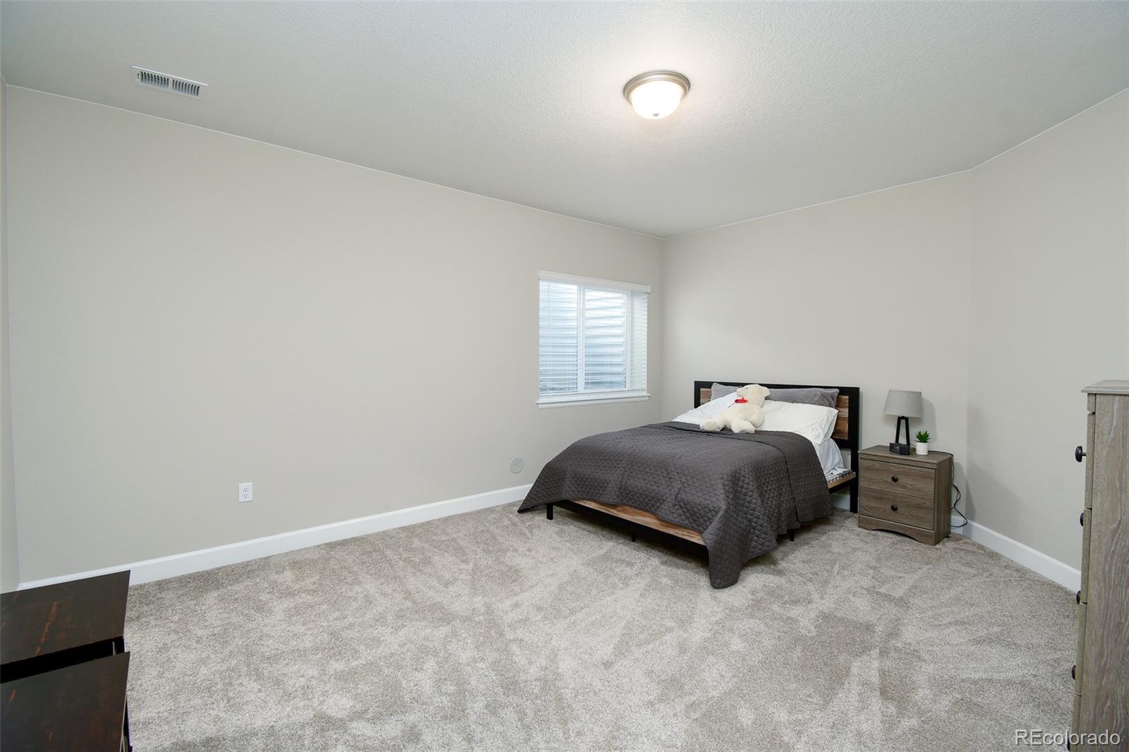 MLS Image #25 for 8937  animas river street,littleton, Colorado