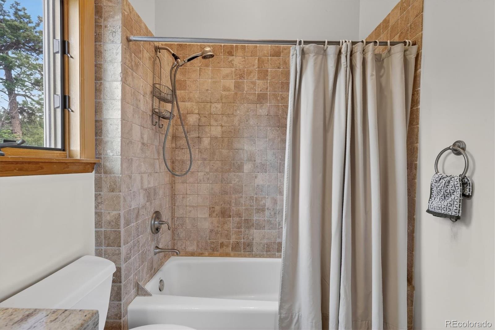 MLS Image #22 for 8510  bobsled trail,morrison, Colorado