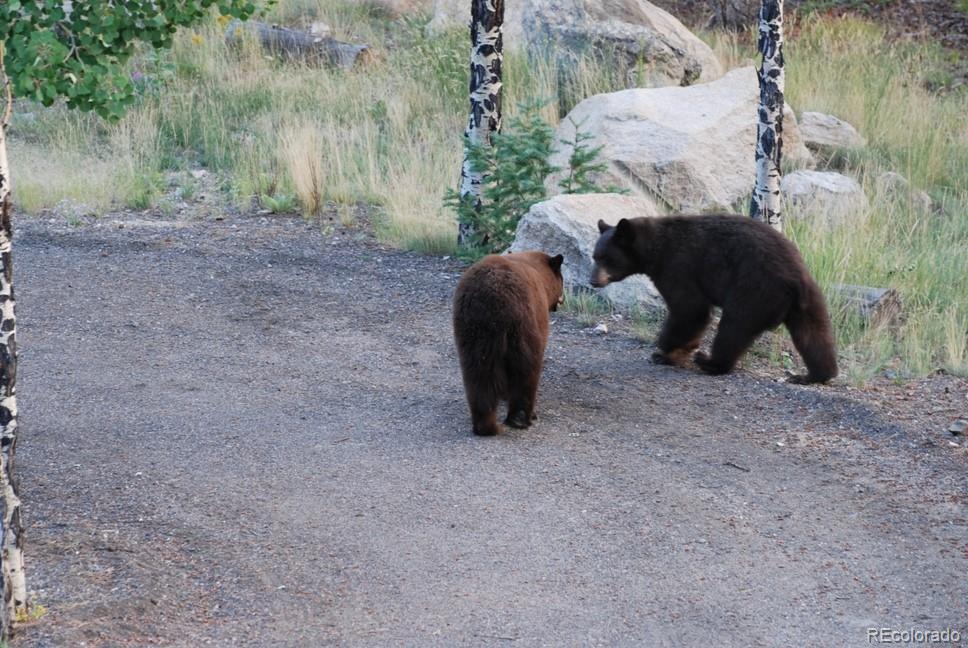 MLS Image #49 for 8510  bobsled trail,morrison, Colorado