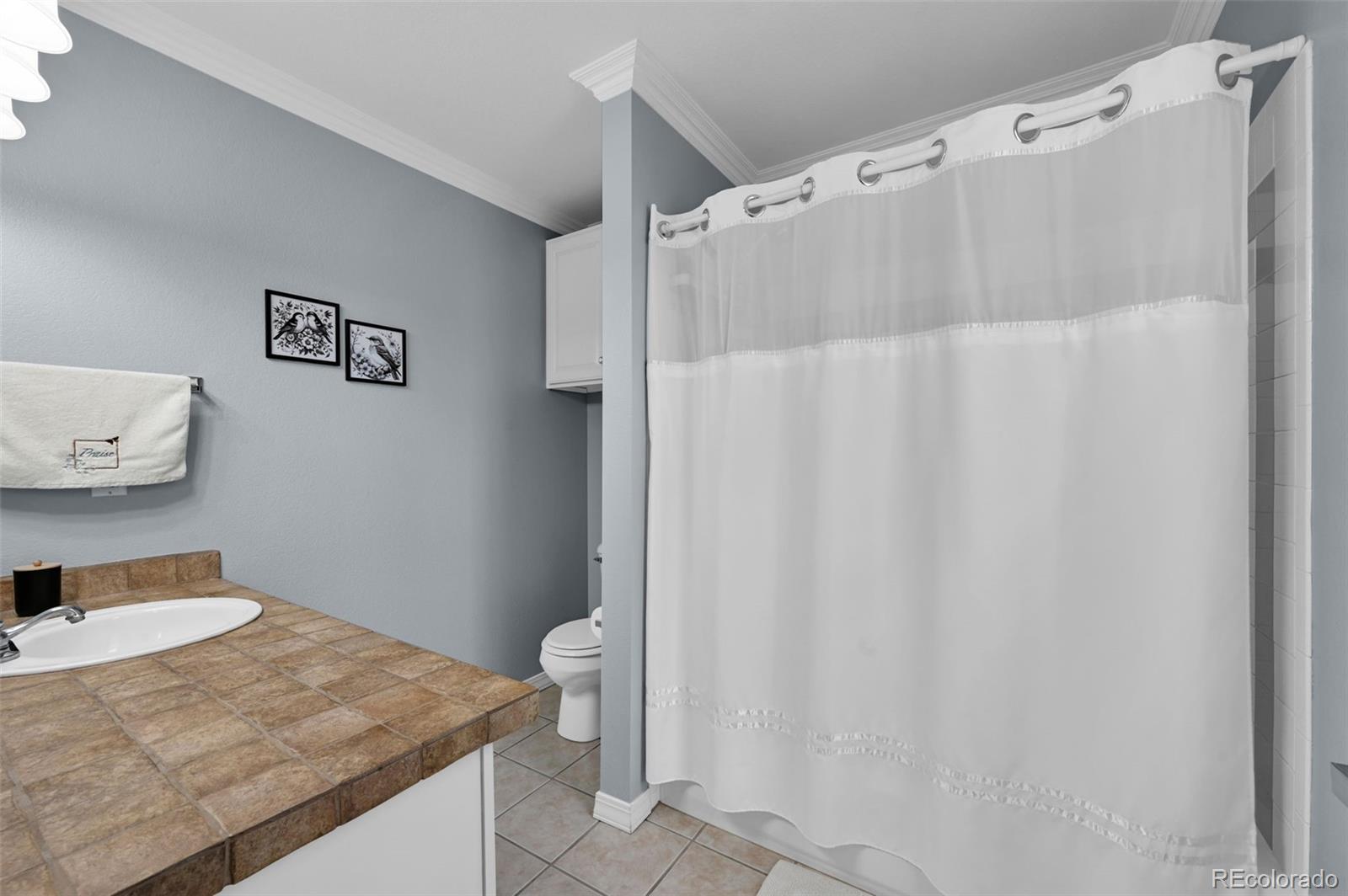 MLS Image #15 for 4931 s danube street,aurora, Colorado