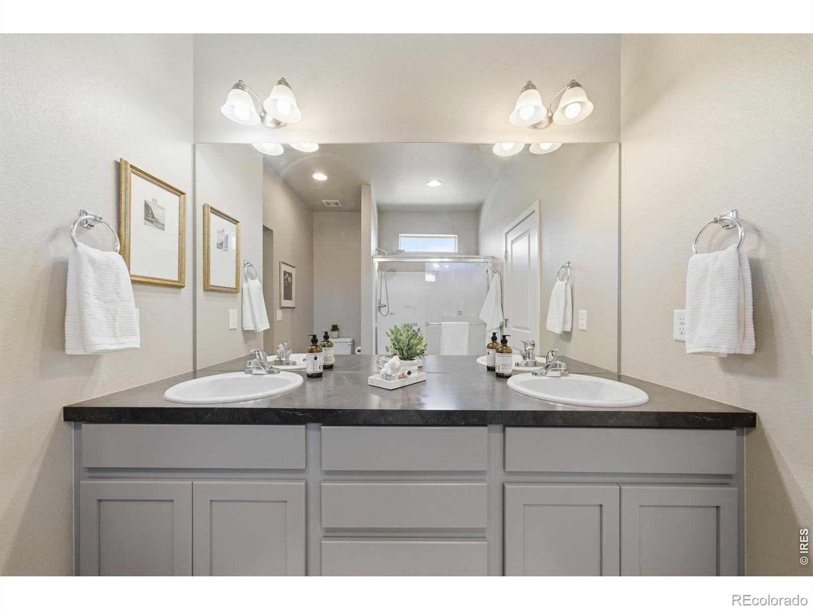 MLS Image #17 for 3928  river birch street,wellington, Colorado