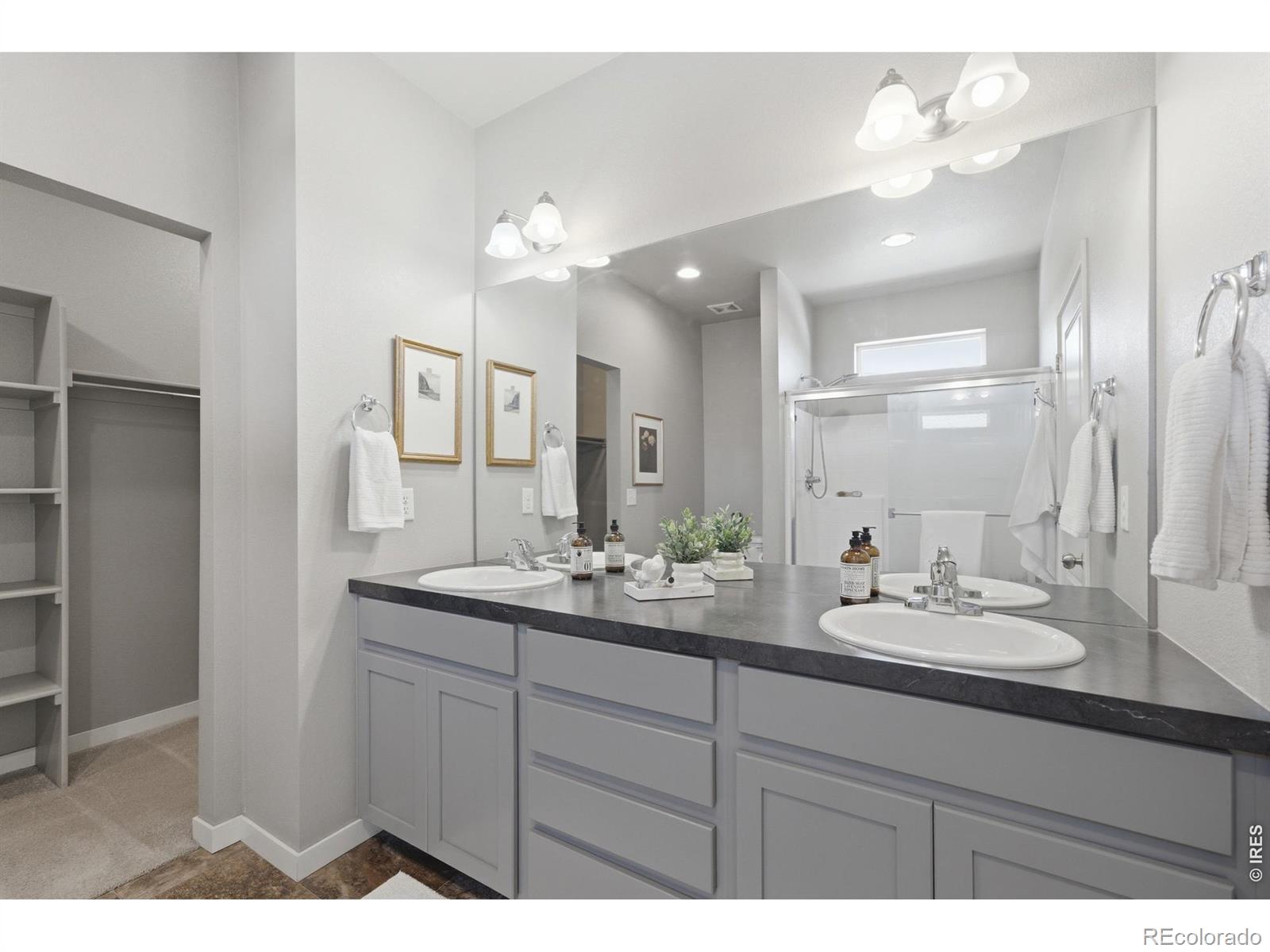 MLS Image #18 for 3928  river birch street,wellington, Colorado