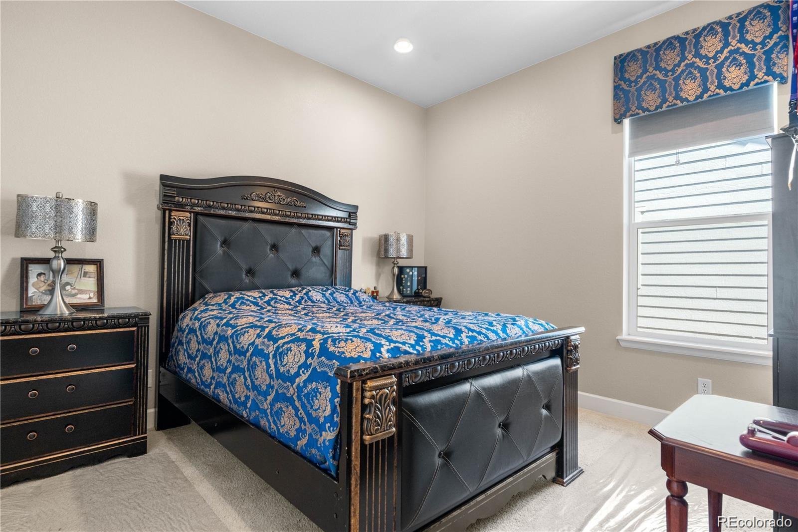 MLS Image #8 for 11193  mission walk street,parker, Colorado