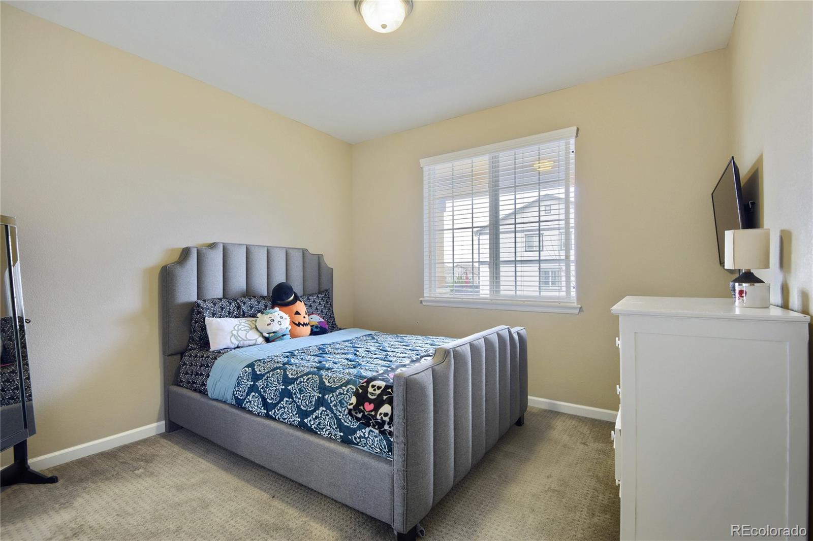 MLS Image #15 for 13942  lexington drive,parker, Colorado