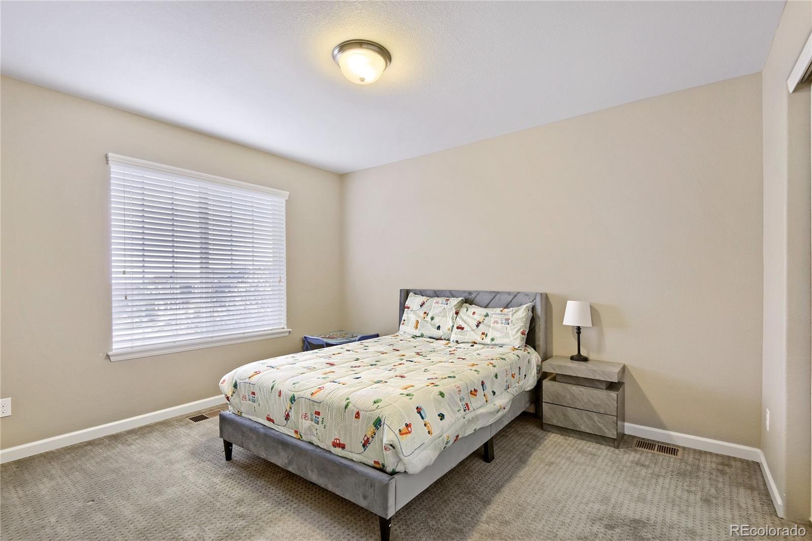 MLS Image #17 for 13942  lexington drive,parker, Colorado