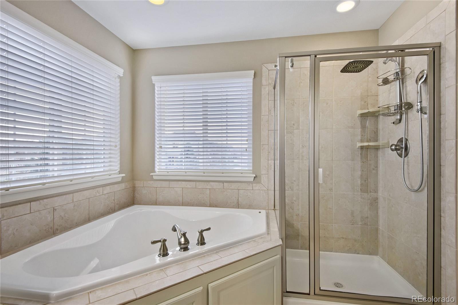 MLS Image #23 for 13942  lexington drive,parker, Colorado