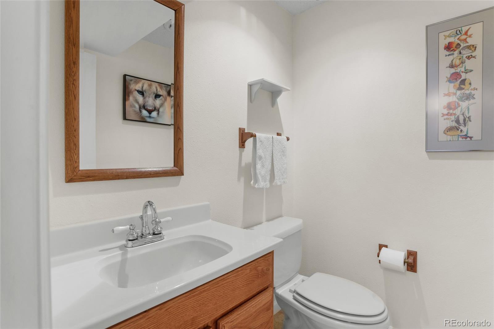 MLS Image #22 for 145  wolf creek trail,broomfield, Colorado