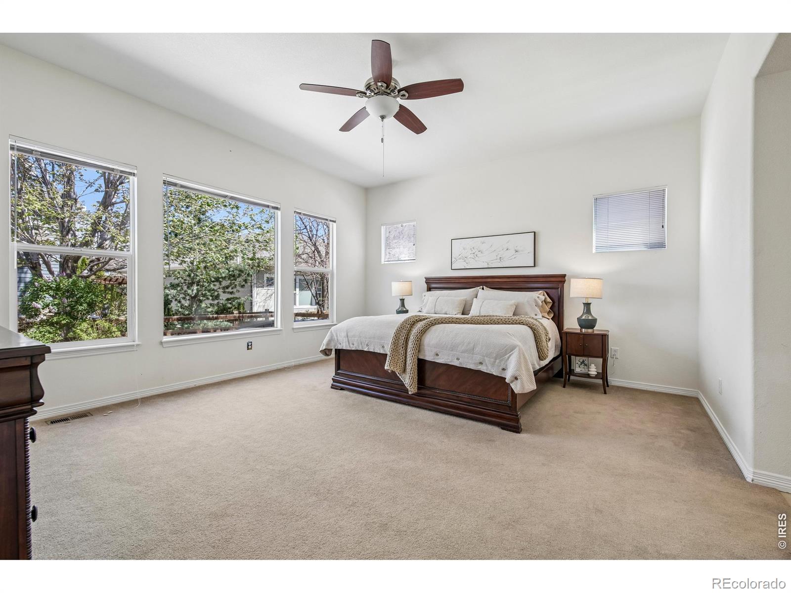 MLS Image #12 for 4553  red deer trail,broomfield, Colorado