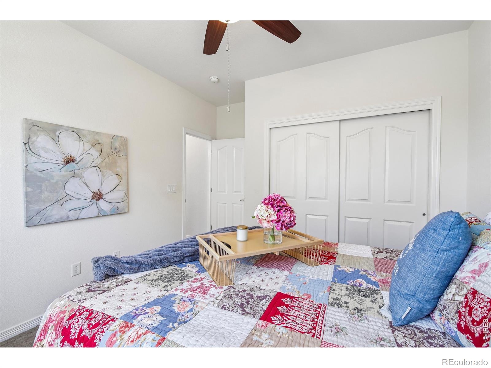 MLS Image #19 for 4553  red deer trail,broomfield, Colorado