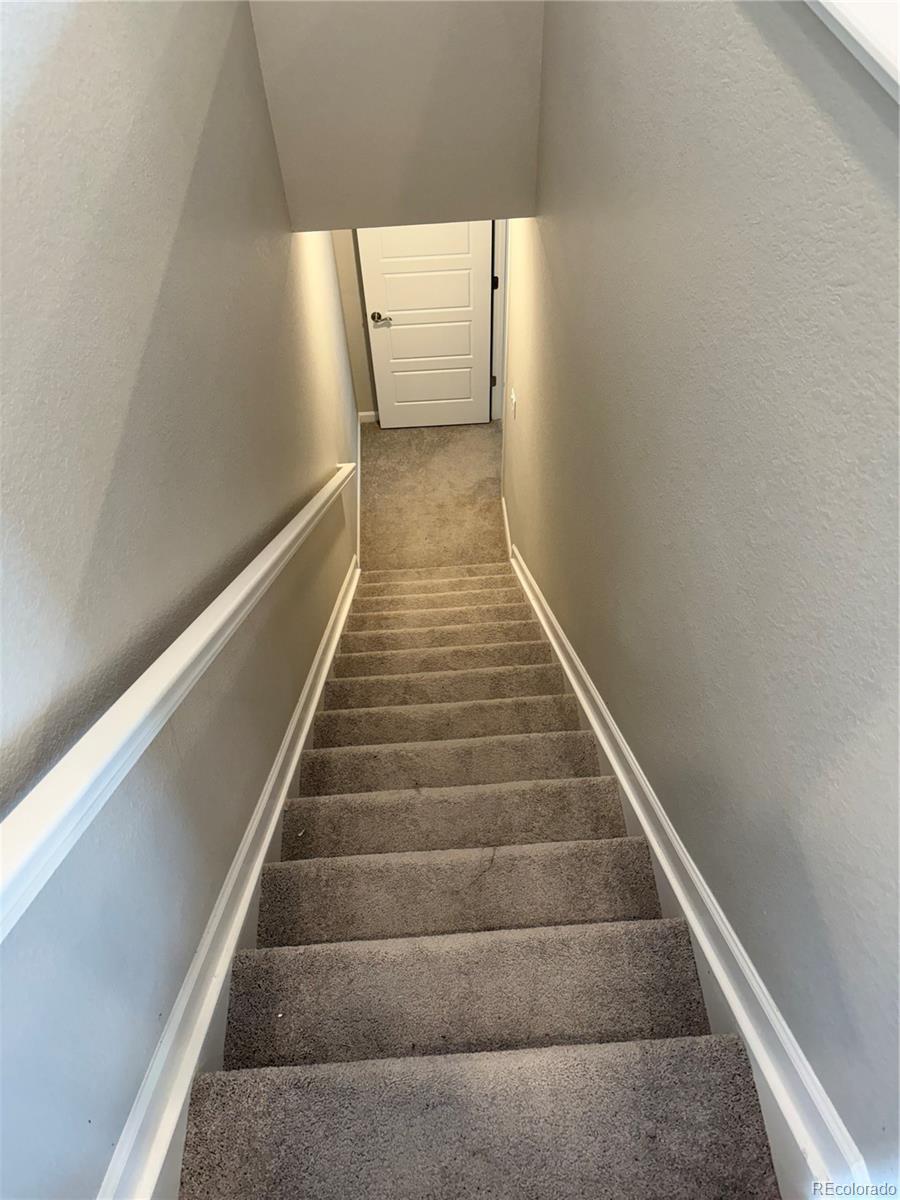 MLS Image #13 for 5325  trails edge lane,castle rock, Colorado