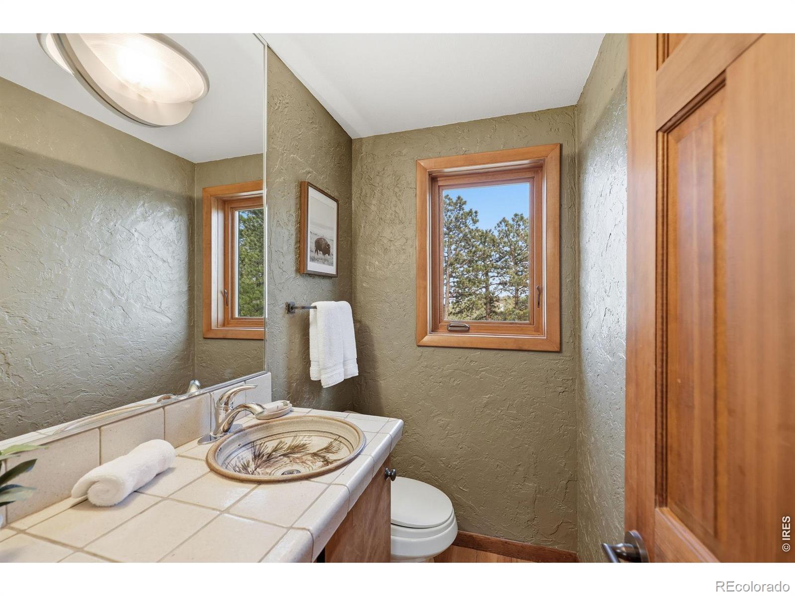 MLS Image #10 for 262  bristlecone way,boulder, Colorado