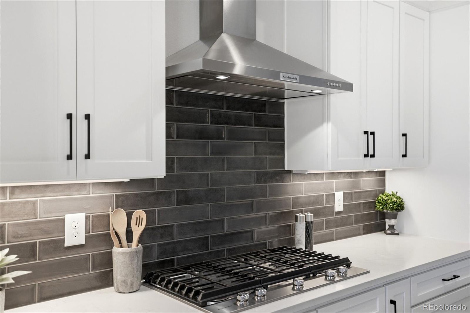 MLS Image #9 for 577  scrubjay circle,castle rock, Colorado