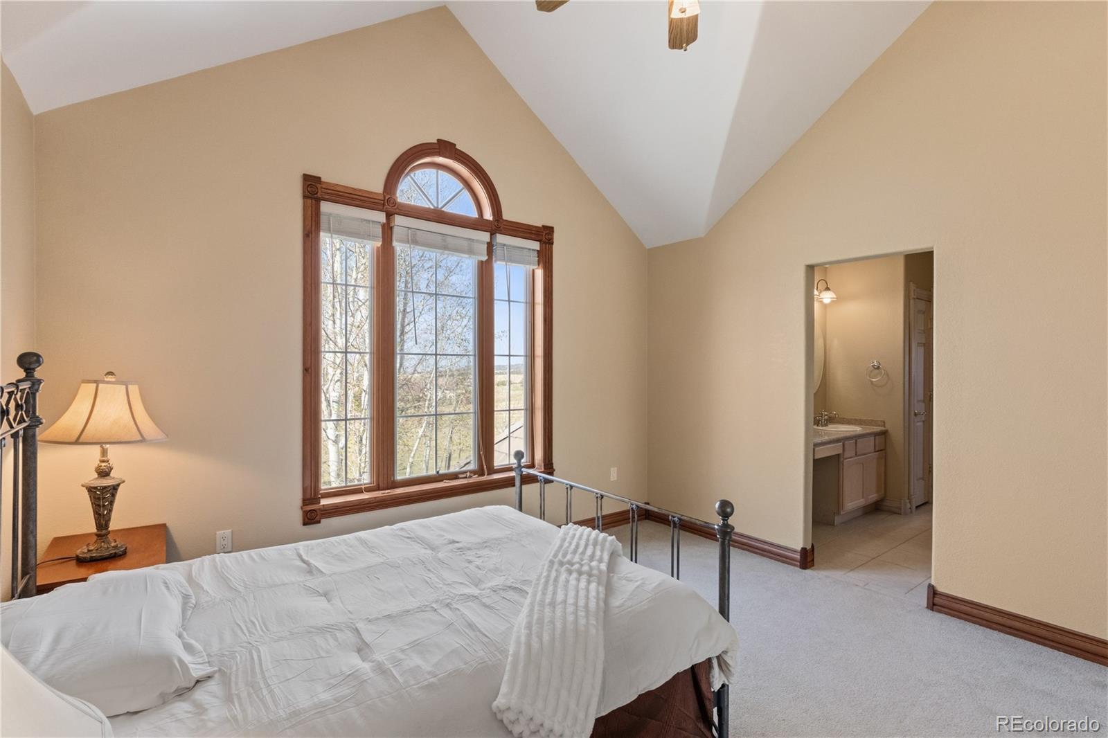 MLS Image #29 for 20045  royal troon drive,monument, Colorado