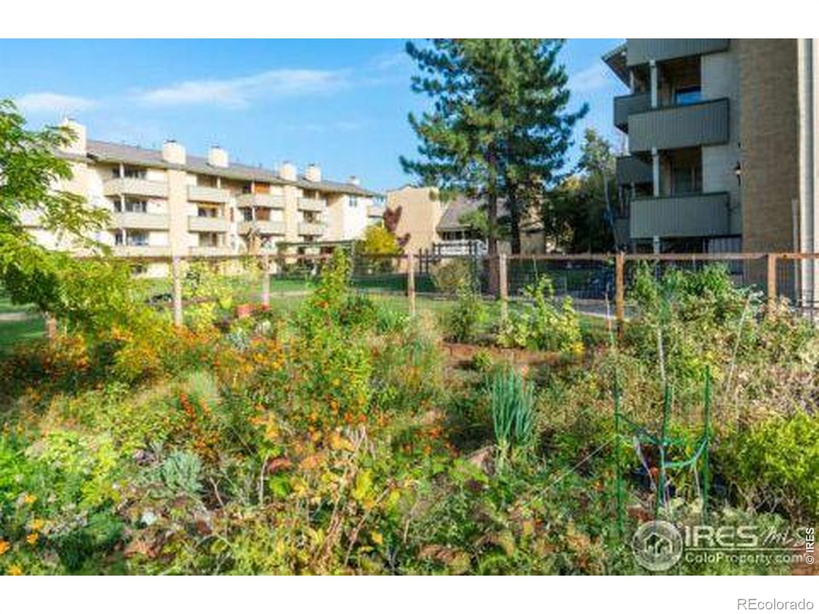 MLS Image #16 for 3035  oneal parkway,boulder, Colorado