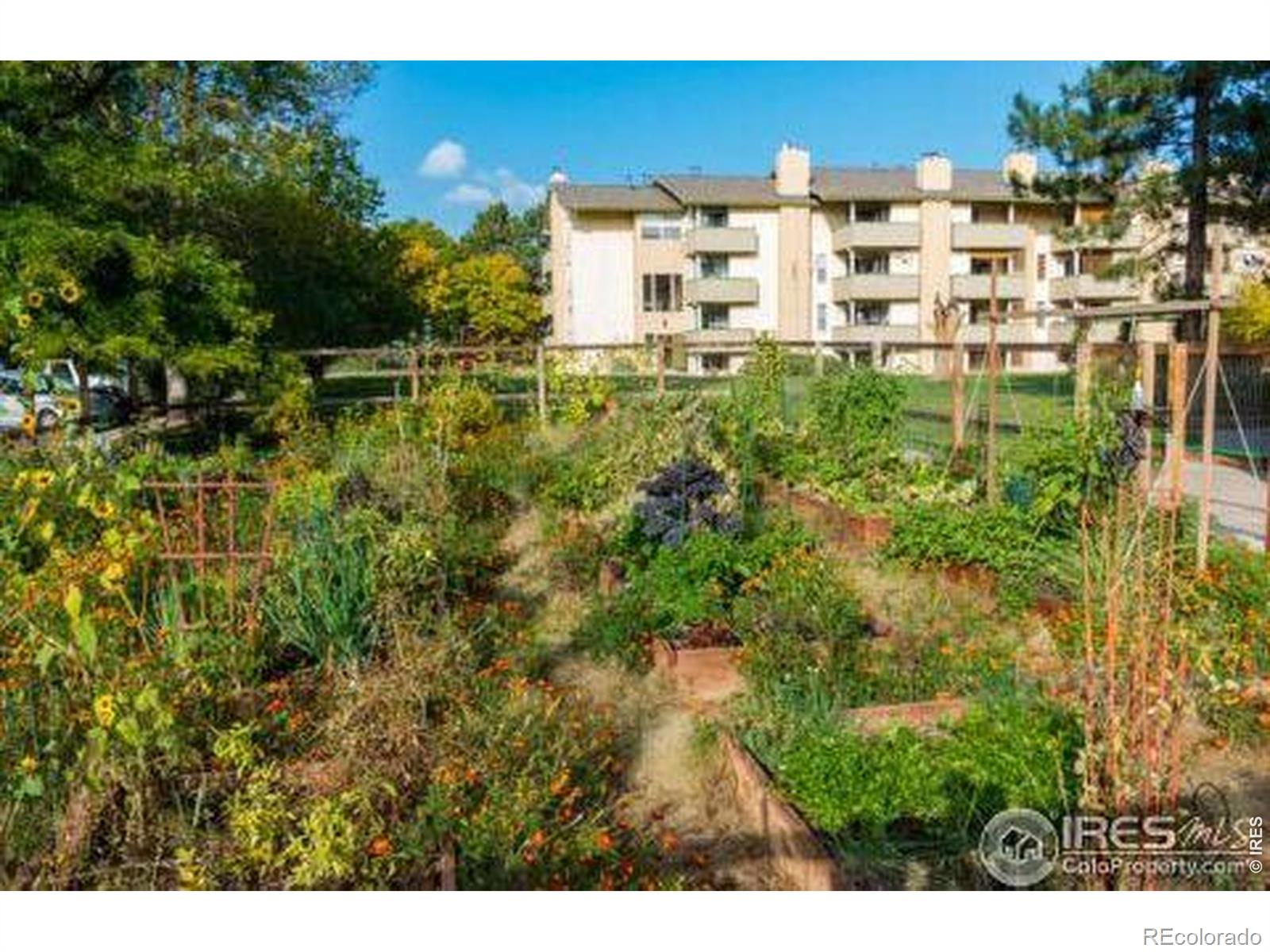 MLS Image #18 for 3035  oneal parkway,boulder, Colorado