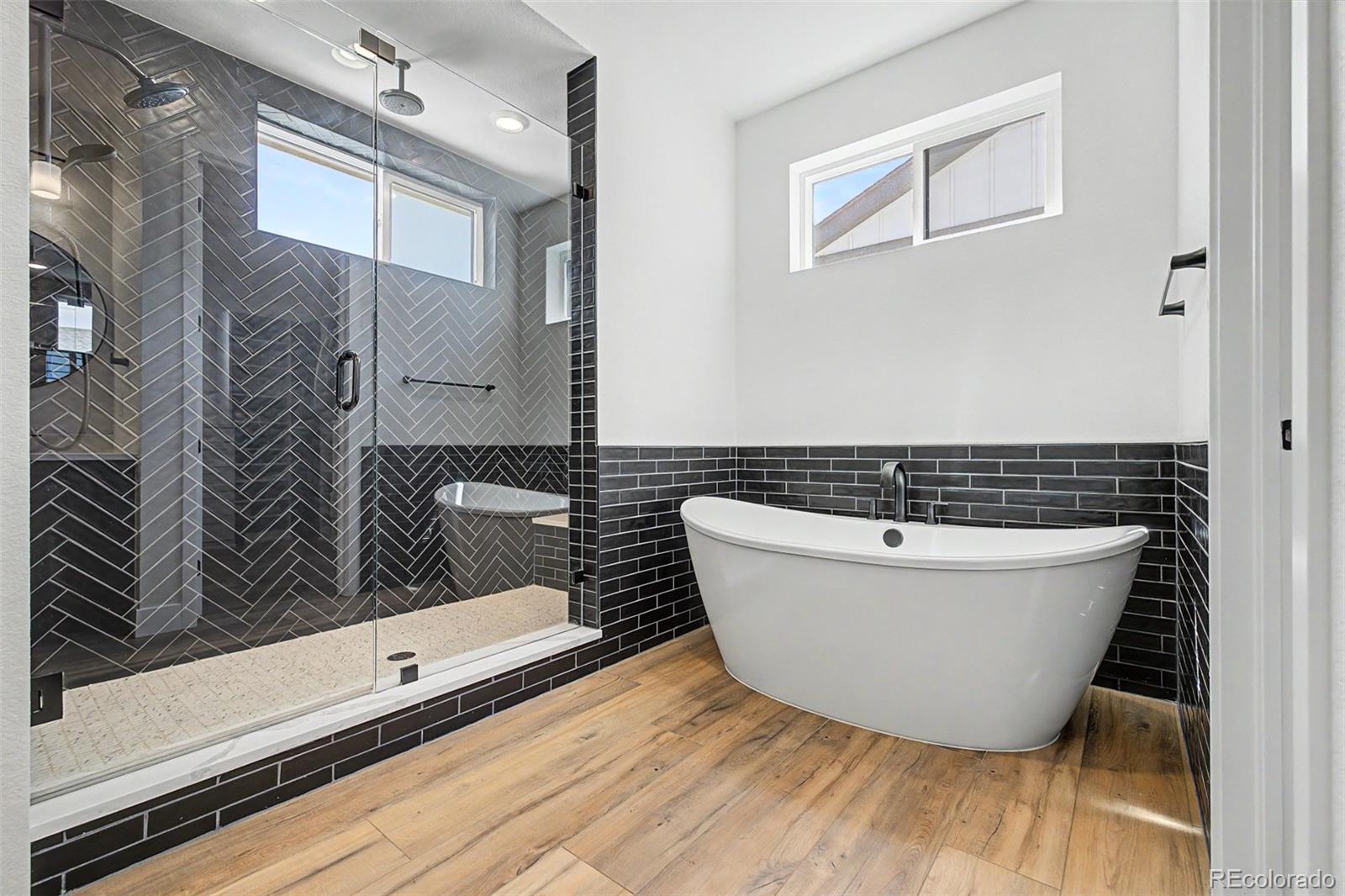 MLS Image #11 for 11172  bright sky street,littleton, Colorado