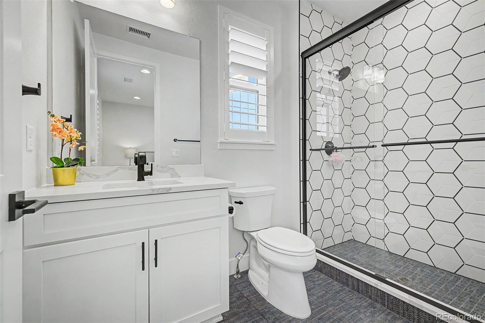 MLS Image #17 for 11172  bright sky street,littleton, Colorado