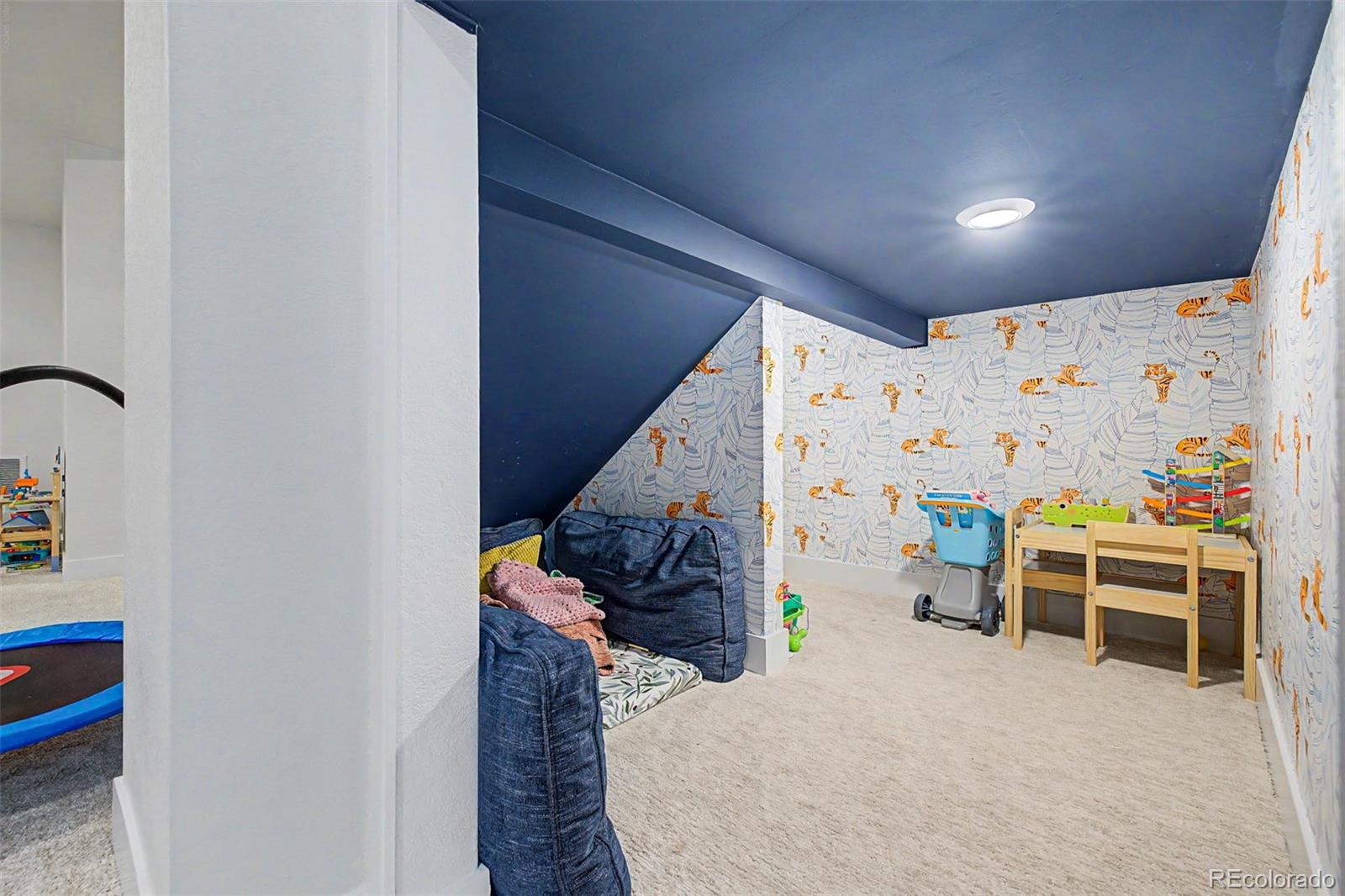MLS Image #20 for 11172  bright sky street,littleton, Colorado