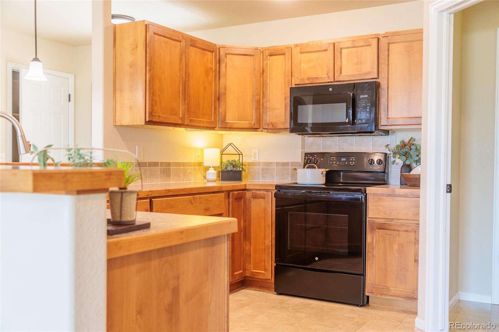 MLS Image #21 for 365  primrose drive,loveland, Colorado