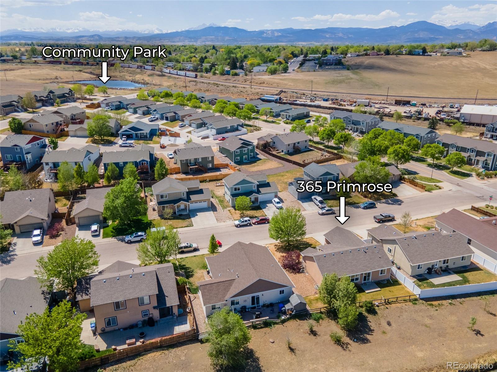 MLS Image #5 for 365  primrose drive,loveland, Colorado