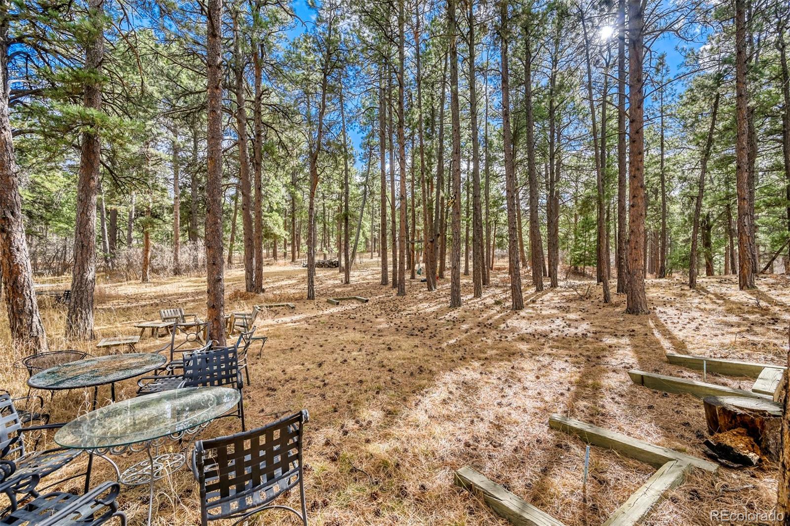 MLS Image #33 for 3392  estates circle,larkspur, Colorado
