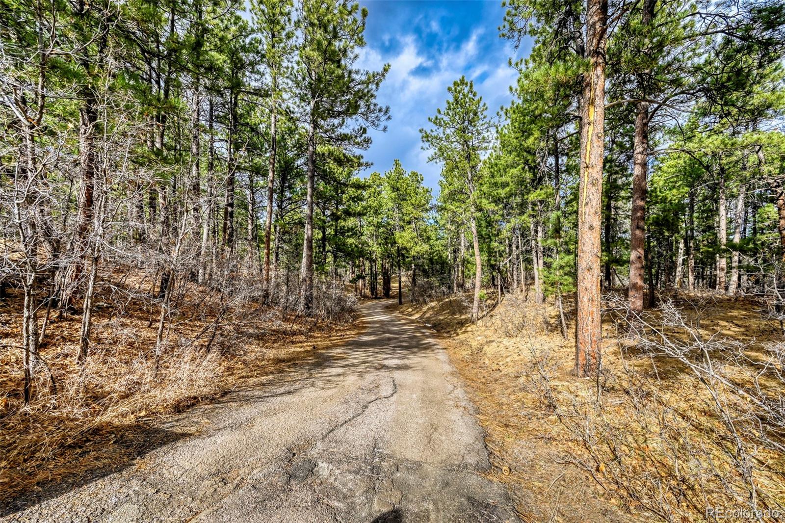 MLS Image #34 for 3392  estates circle,larkspur, Colorado