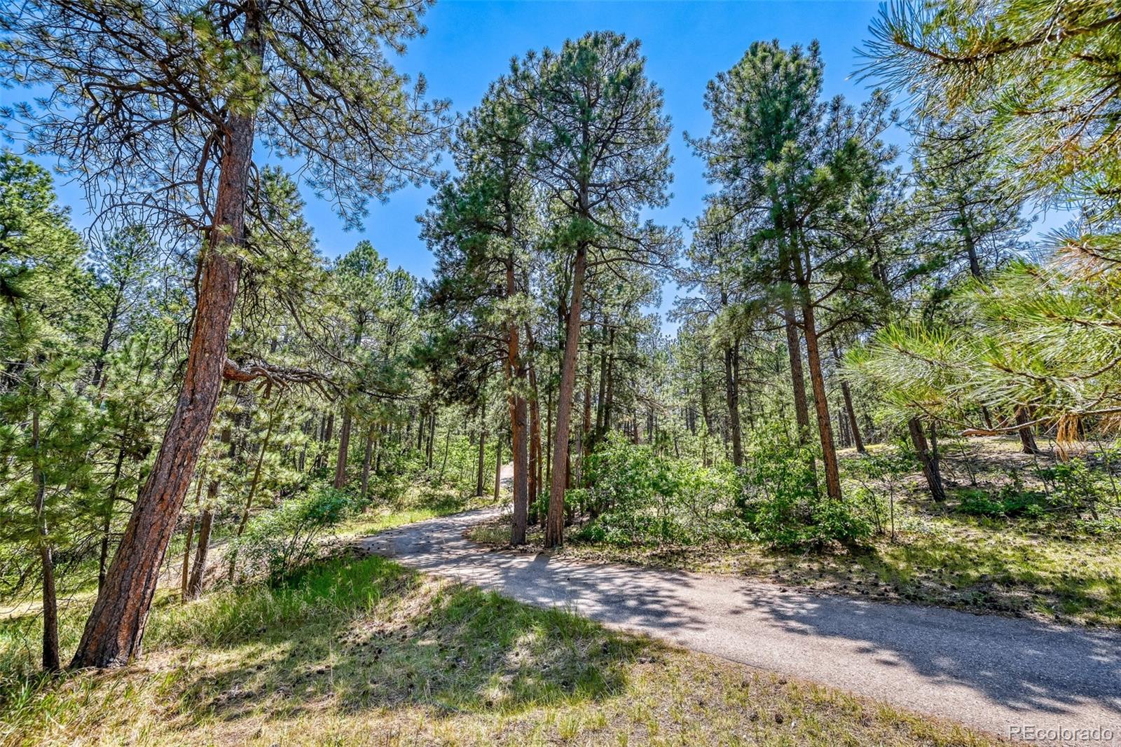 MLS Image #42 for 3392  estates circle,larkspur, Colorado