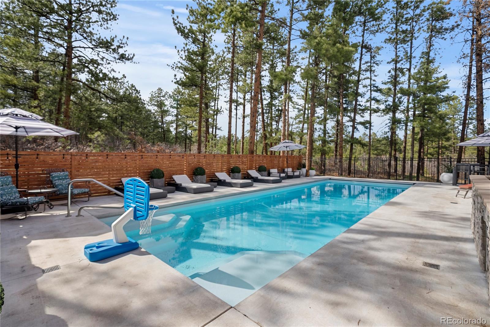 MLS Image #24 for 1188  sky view lane,larkspur, Colorado