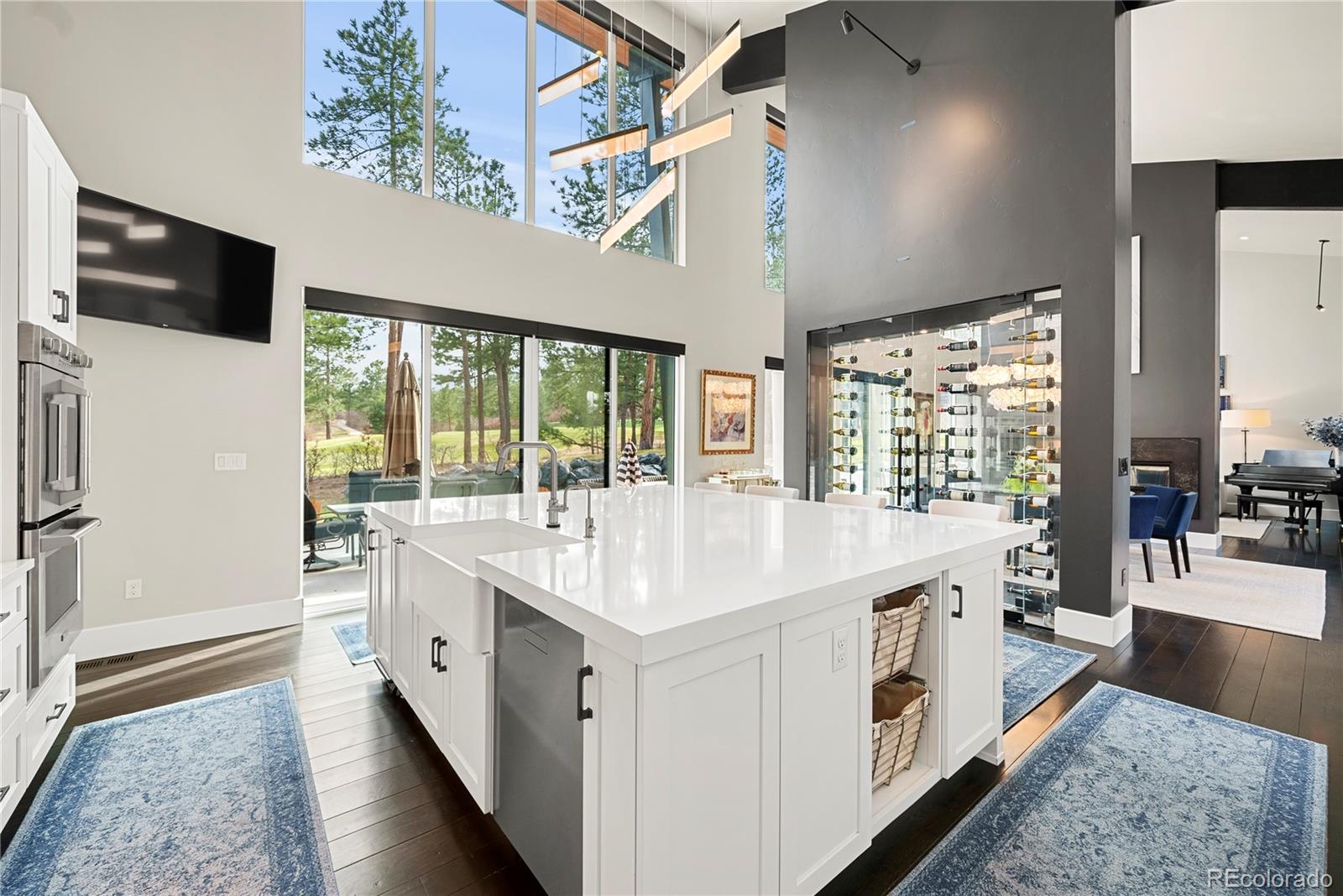 MLS Image #7 for 1188  sky view lane,larkspur, Colorado