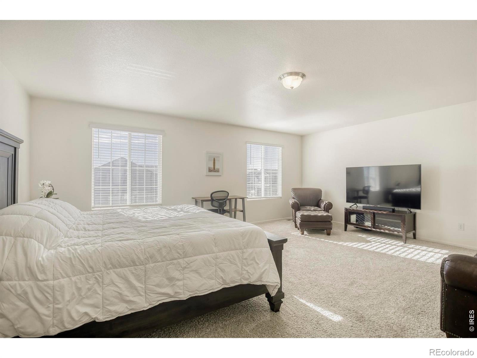 MLS Image #14 for 1690  whiteley drive,windsor, Colorado
