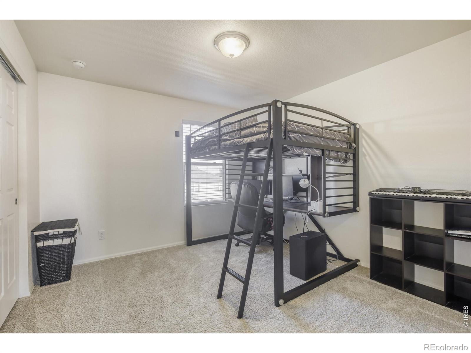 MLS Image #19 for 1690  whiteley drive,windsor, Colorado