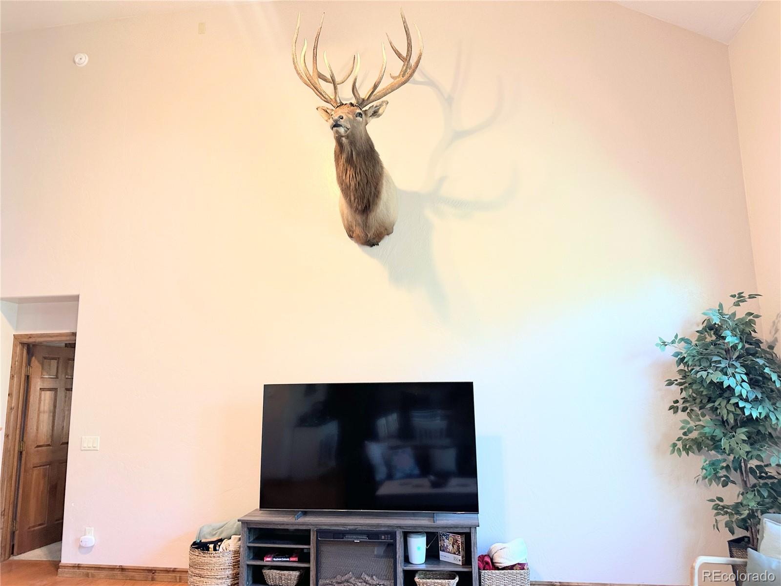 MLS Image #16 for 62  masters circle,pagosa springs, Colorado