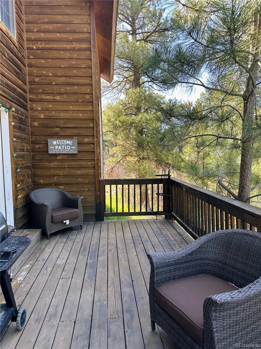 MLS Image #21 for 62  masters circle,pagosa springs, Colorado