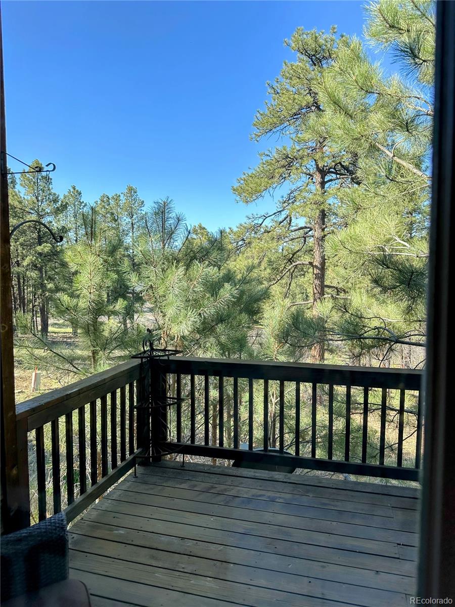 MLS Image #24 for 62  masters circle,pagosa springs, Colorado