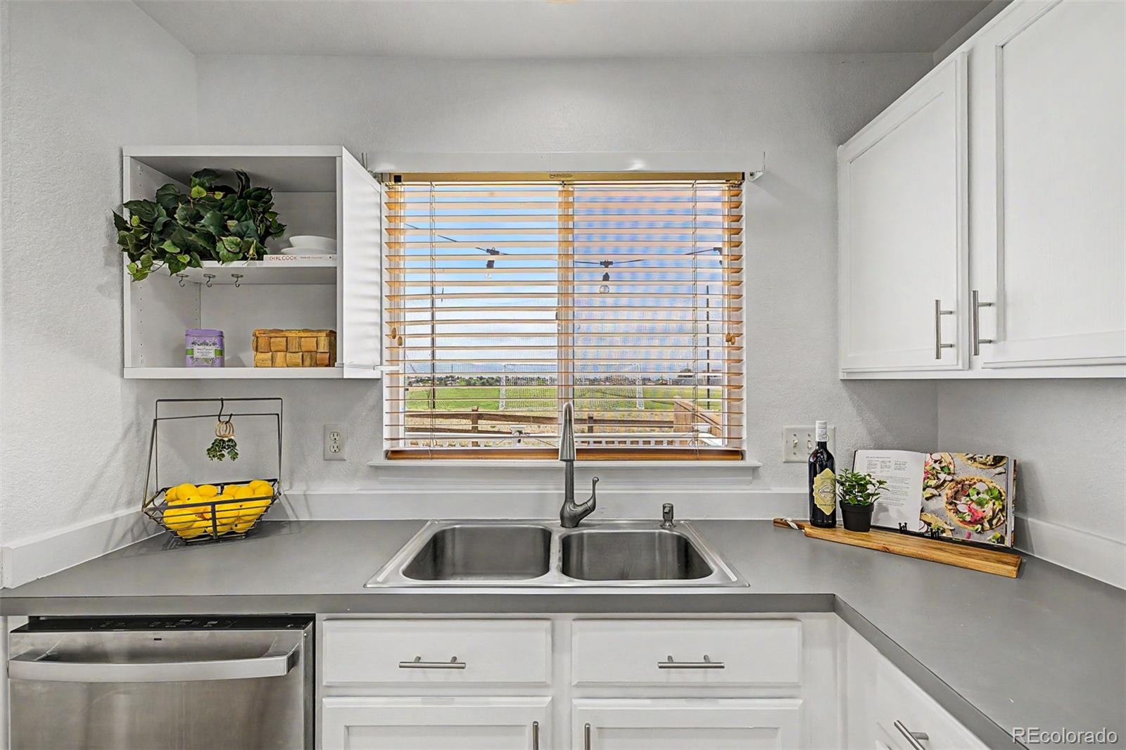 MLS Image #15 for 9917  aftonwood street,highlands ranch, Colorado