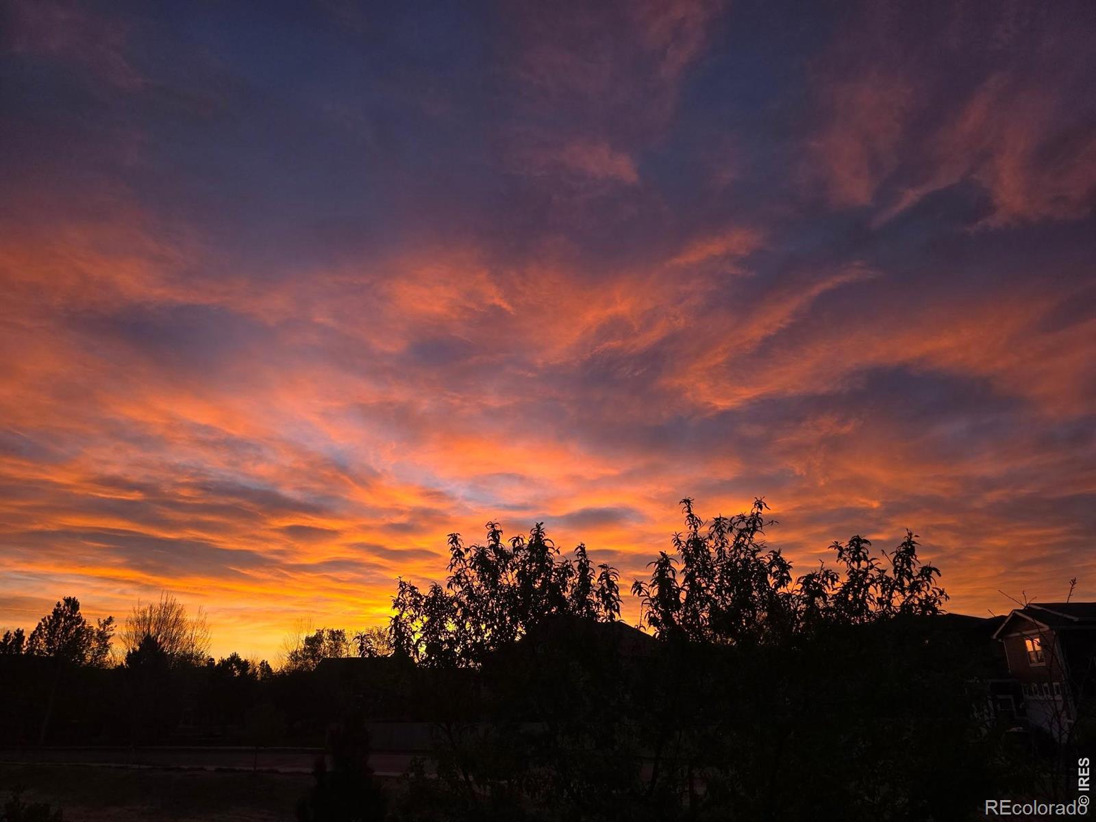 MLS Image #23 for 2017  sicily circle,longmont, Colorado