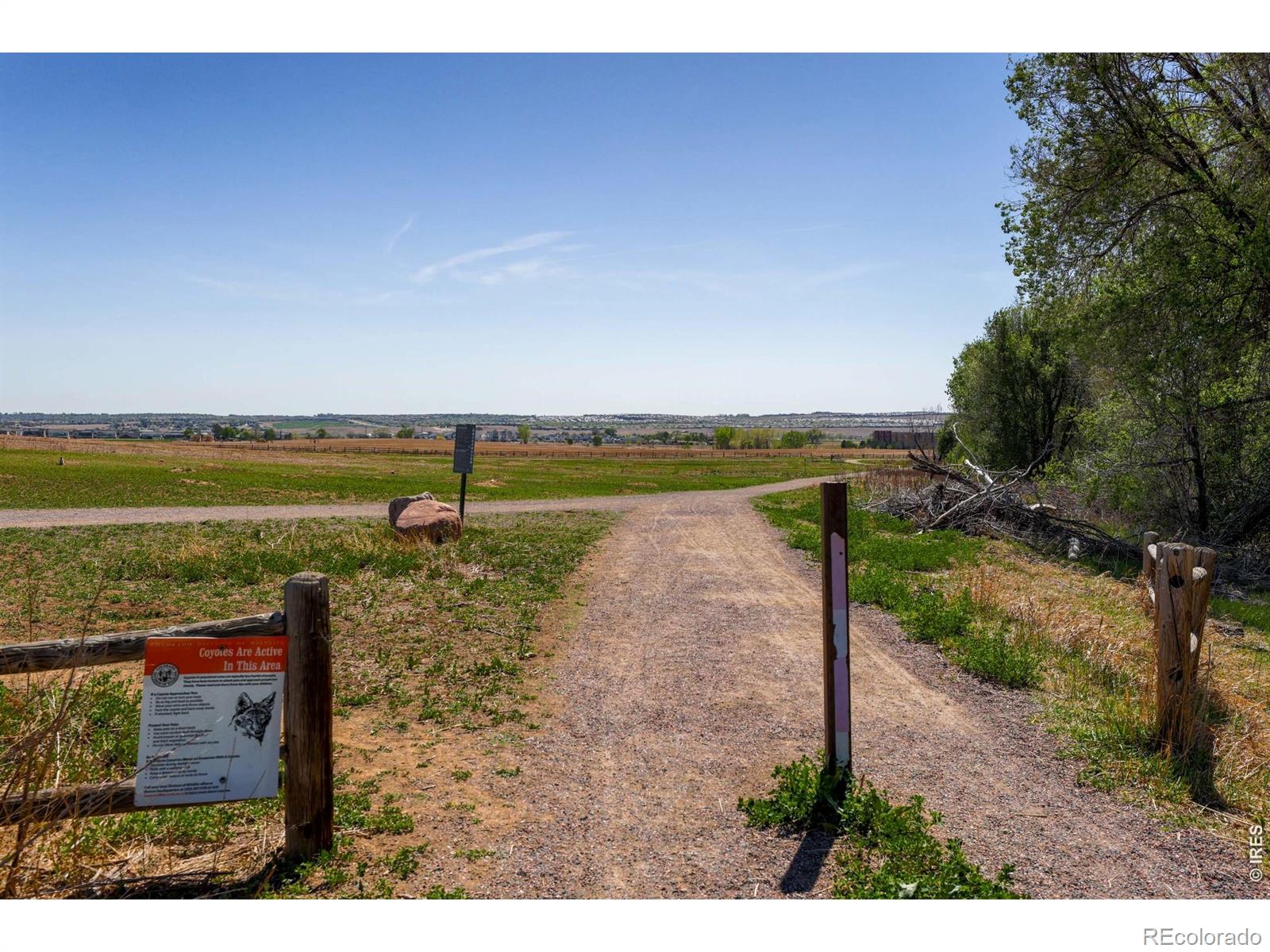 MLS Image #42 for 658  wild ridge circle,lafayette, Colorado