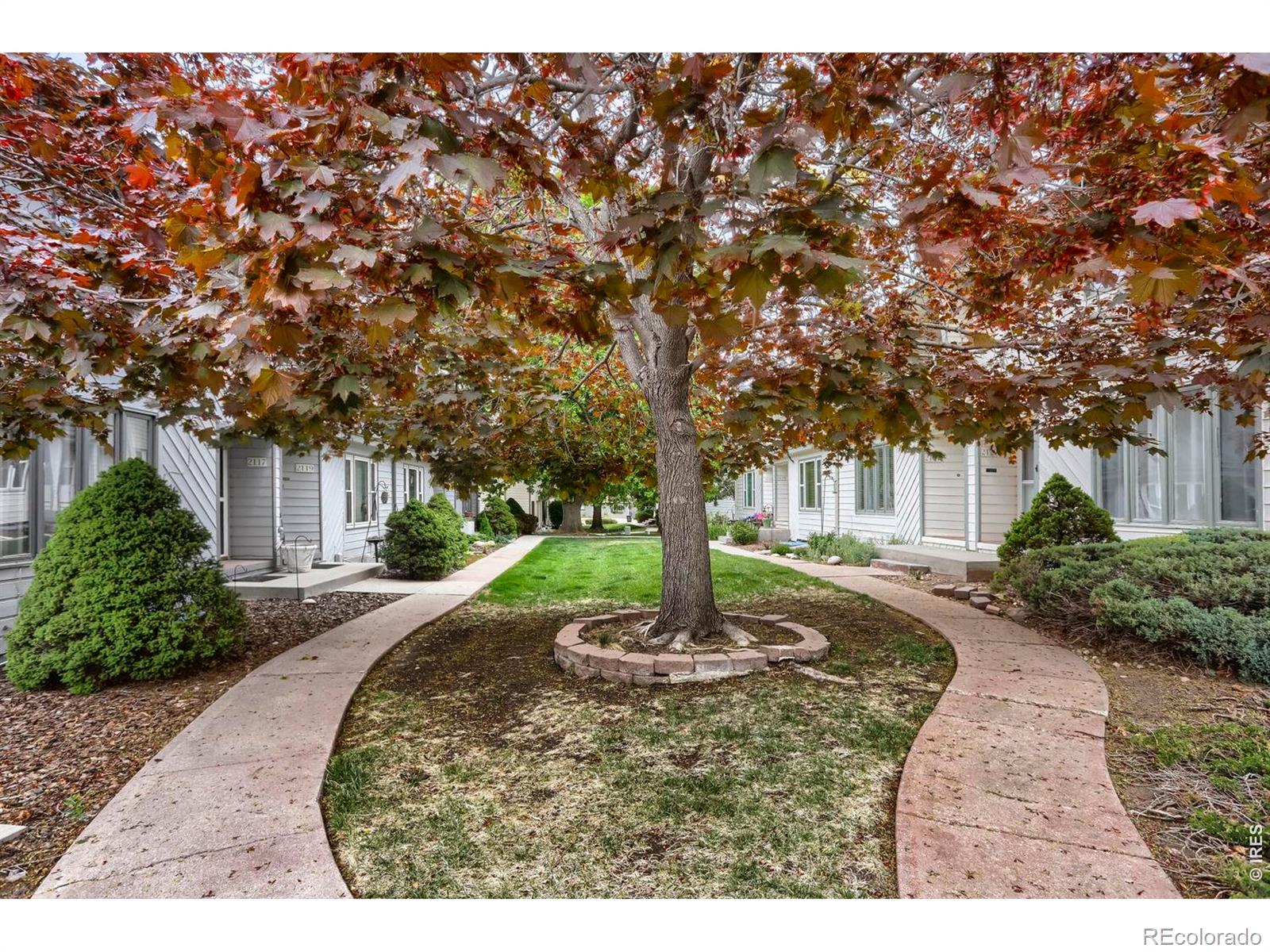 MLS Image #27 for 2123  meadow court,longmont, Colorado