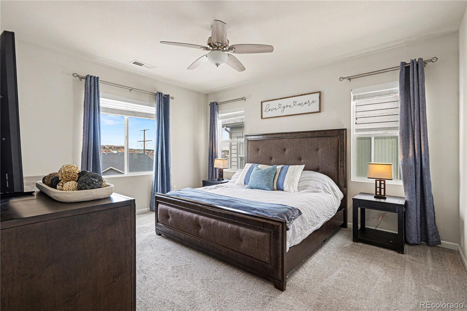 MLS Image #18 for 1172  basalt ridge loop,castle rock, Colorado